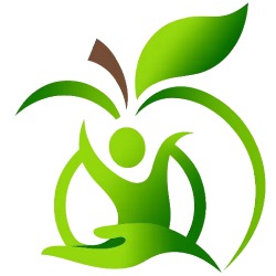 Open Wings Jumpstart Occupational Therapy