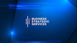 Business Strategic Services