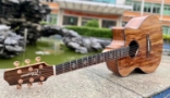 sydney-guitars-online-luxury-handcrafted-wooden-guitar-matte-finish.jpg
