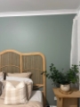 Feature Wall Paint Services