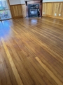 Floor-staining-greenvale