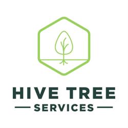Hive Tree Services