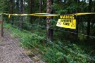 Electric fencing systems