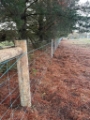 Ringlock fencing