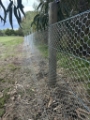 Chicken wire and rabbit netting fencing