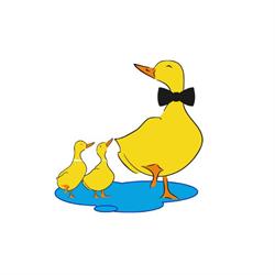 Dashing Ducks Child Care Castle Hill