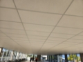 Suspended exposed grid ceiling