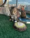 Registered Maine Coon breeder Perth