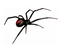 logo12