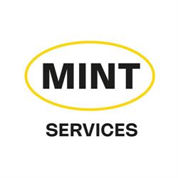 Mint Cleaning and Maintenance Services