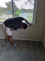 Carpet cleaning service