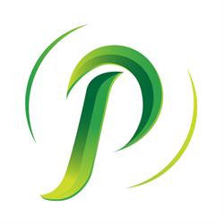 Platinum Energy Group