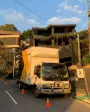 blog-choose-moving-company
