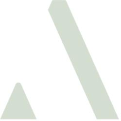 Annex Risk Advisory