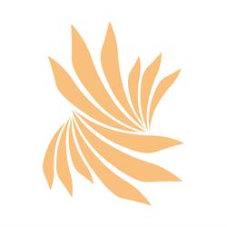 Harmony Body Contouring