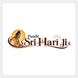 Indian most famous spiritual healer