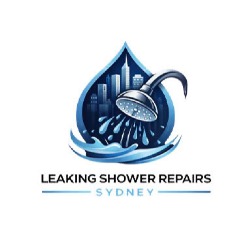 Leaking Shower Repairs Sydney