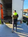 Professional removalists