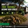 ECO LEAF TREE SERVICES