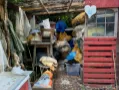 IMAGE2