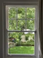 clean window