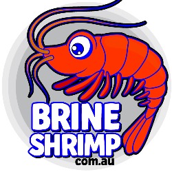 Brine Shrimp Eggs Australia