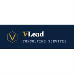 VLead Consulting Services