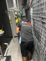 Commercial Pest Control