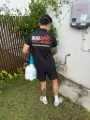 Pest Control Gold Coast