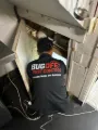 Dead Animal Removal Inspection