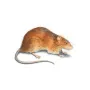 A3