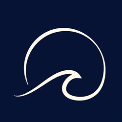 Spine & Sport Forster