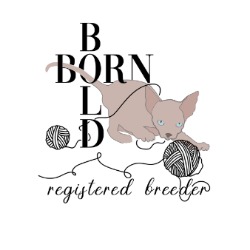 Born Bold Cats and The Smart Cat Society