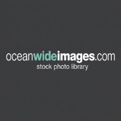 Oceanwide Images