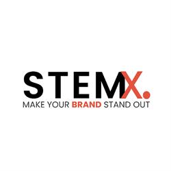 Stemx IT Business Solutions