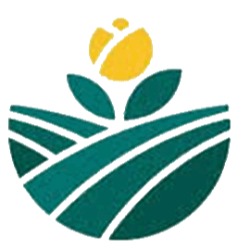 Art of Gardening & Landscaping