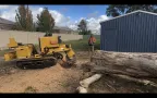 Stump grinding