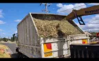 Mulch