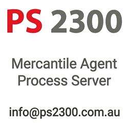 PS 2300