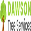 Ian Dawson