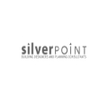Silver point