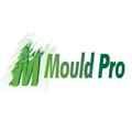 Mould Pro