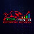 Forex Brokers